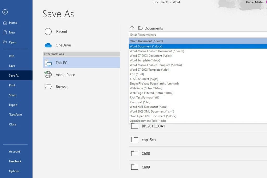 ms-word-menu-file-format